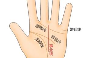 掌纹事业线有三条代表什么意思 掌纹事业线有三条有什么寓意