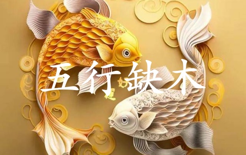 五行缺木九紫离火运好不好