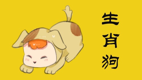 1982年属狗是什么命